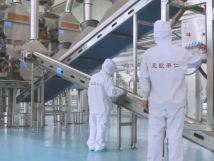 2025年的第一個(gè)月，承德亞歐果仁有限公司在山杏產(chǎn)業(yè)的道路上持續(xù)奮進(jìn)，展現(xiàn)出蓬勃的發(fā)展活力。